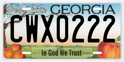 GA license plate CWX0222