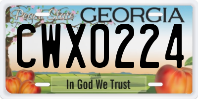 GA license plate CWX0224