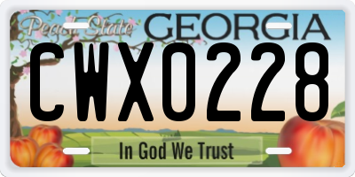 GA license plate CWX0228