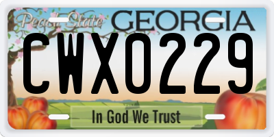 GA license plate CWX0229