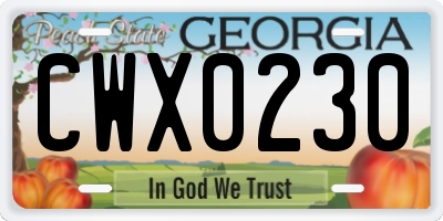 GA license plate CWX0230