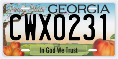 GA license plate CWX0231