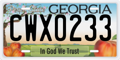 GA license plate CWX0233