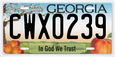 GA license plate CWX0239