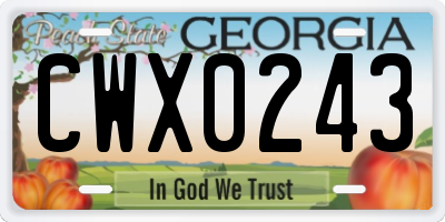 GA license plate CWX0243