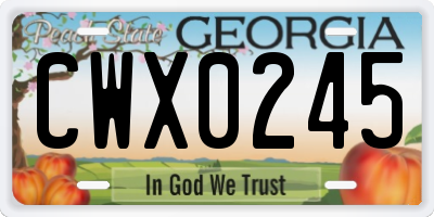 GA license plate CWX0245