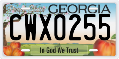 GA license plate CWX0255