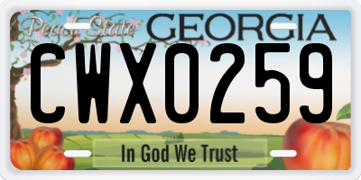 GA license plate CWX0259