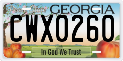 GA license plate CWX0260