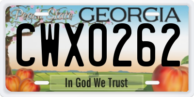 GA license plate CWX0262