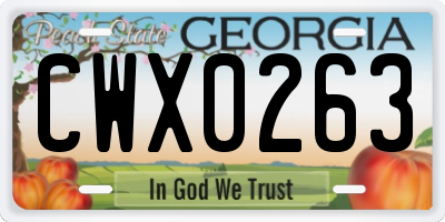GA license plate CWX0263