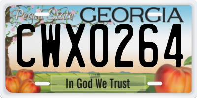 GA license plate CWX0264