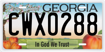 GA license plate CWX0288