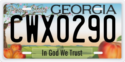 GA license plate CWX0290