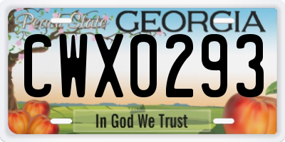 GA license plate CWX0293