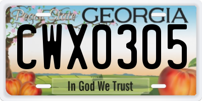 GA license plate CWX0305