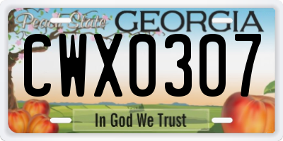 GA license plate CWX0307