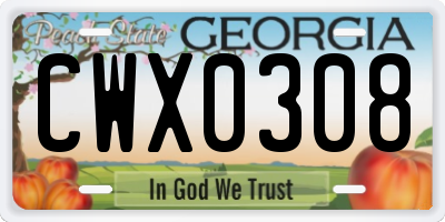 GA license plate CWX0308