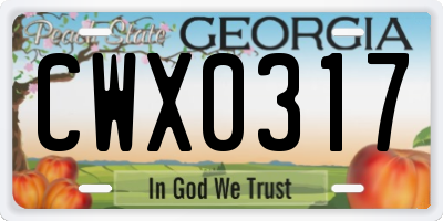 GA license plate CWX0317
