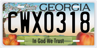 GA license plate CWX0318