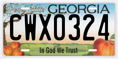 GA license plate CWX0324