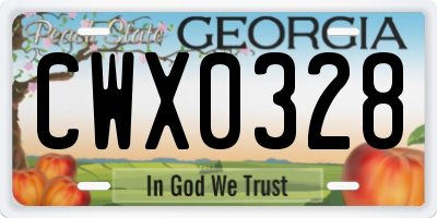 GA license plate CWX0328
