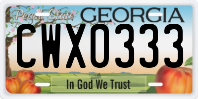 GA license plate CWX0333