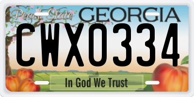GA license plate CWX0334