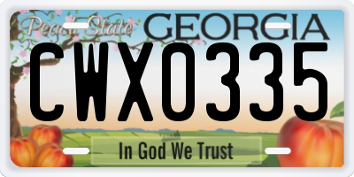 GA license plate CWX0335