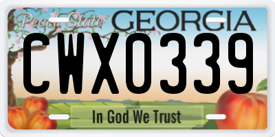 GA license plate CWX0339