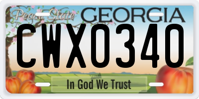 GA license plate CWX0340