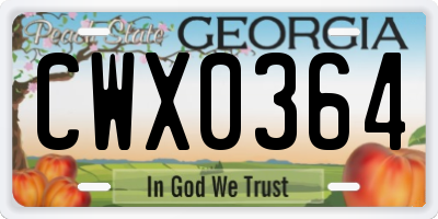 GA license plate CWX0364