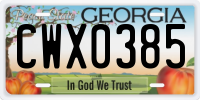 GA license plate CWX0385