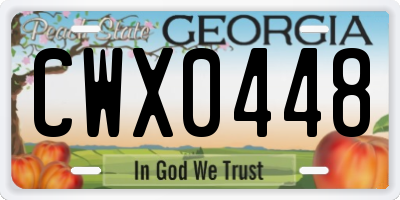 GA license plate CWX0448