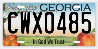 GA license plate CWX0485