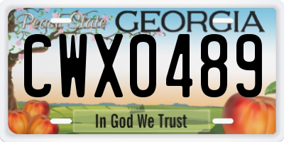 GA license plate CWX0489
