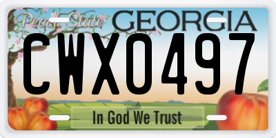 GA license plate CWX0497