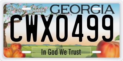GA license plate CWX0499