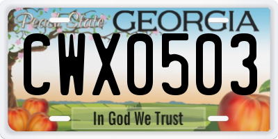 GA license plate CWX0503