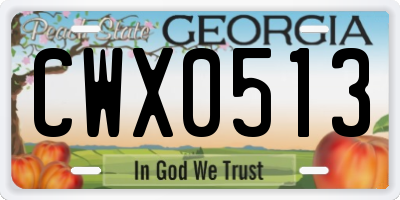 GA license plate CWX0513
