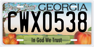 GA license plate CWX0538