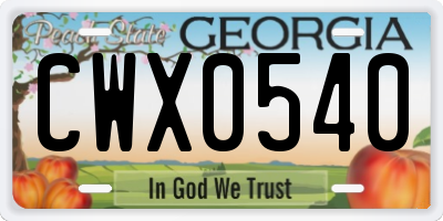 GA license plate CWX0540
