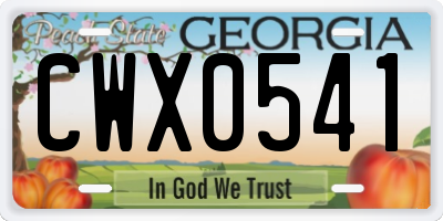GA license plate CWX0541