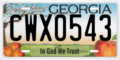 GA license plate CWX0543