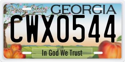 GA license plate CWX0544