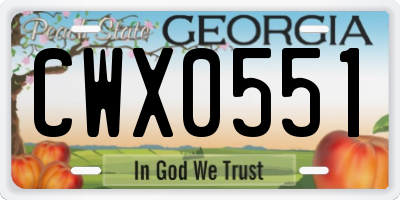 GA license plate CWX0551