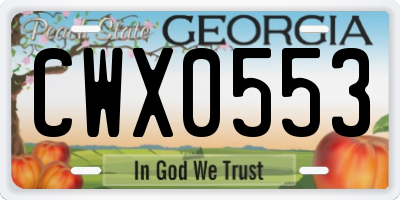 GA license plate CWX0553