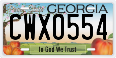 GA license plate CWX0554
