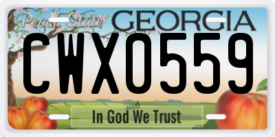 GA license plate CWX0559