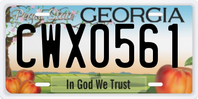 GA license plate CWX0561